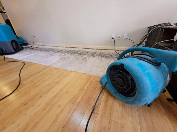 Professional Water Damage Repair technician working in Guthrie, OK